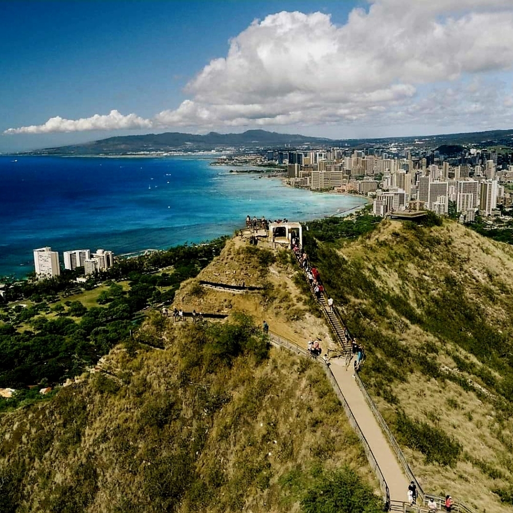 Meet your Posher, Tanya